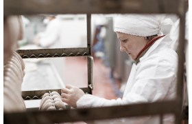 Nașterea brandului 1